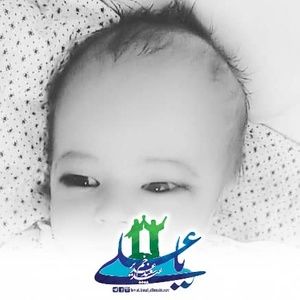 Meet your Posher, Ali yawar